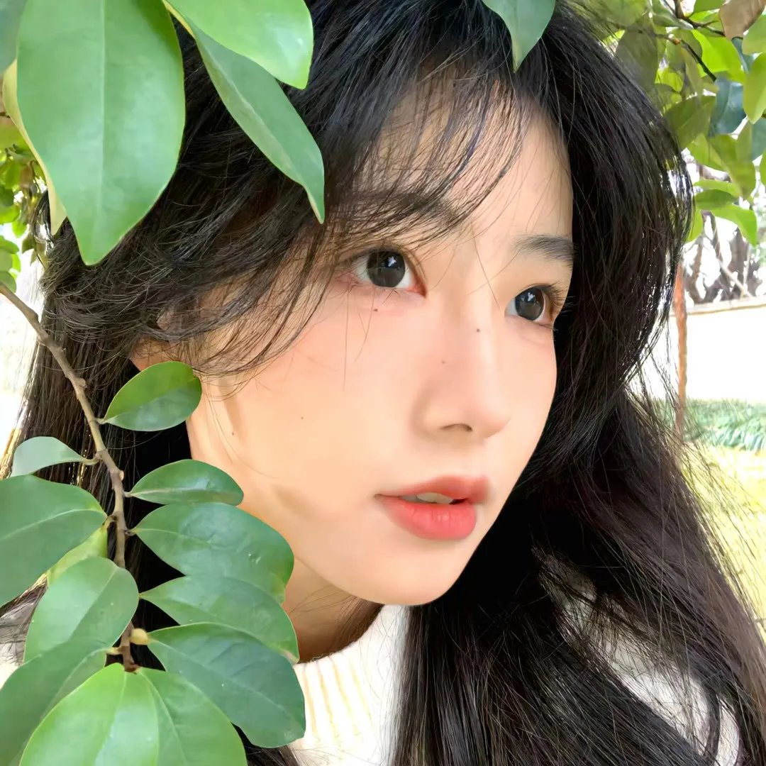 通往光明的阶梯